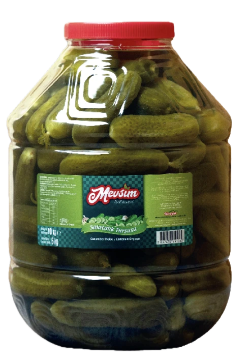 10KG-PET-2NO-SALATALIK-TURŞUSU